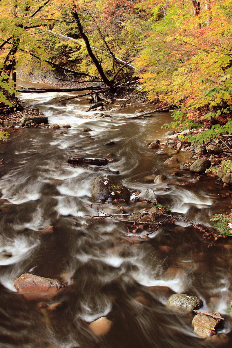 Flowing from Wisner