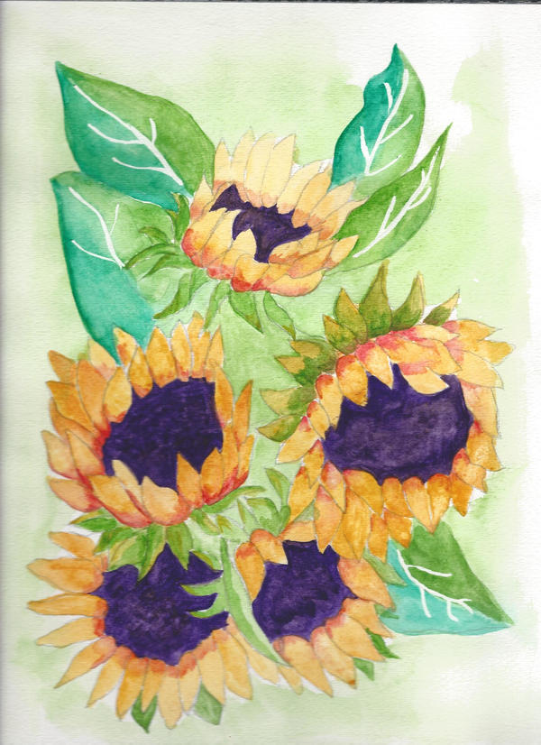 Sunflowers