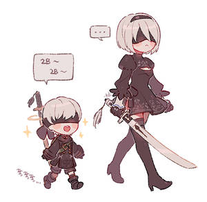 2B and mini 9S