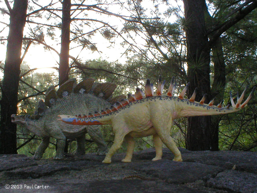 Miragaia and Stegosaurus by Carnosaur