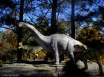 Allosaurus VS Apatosaurus