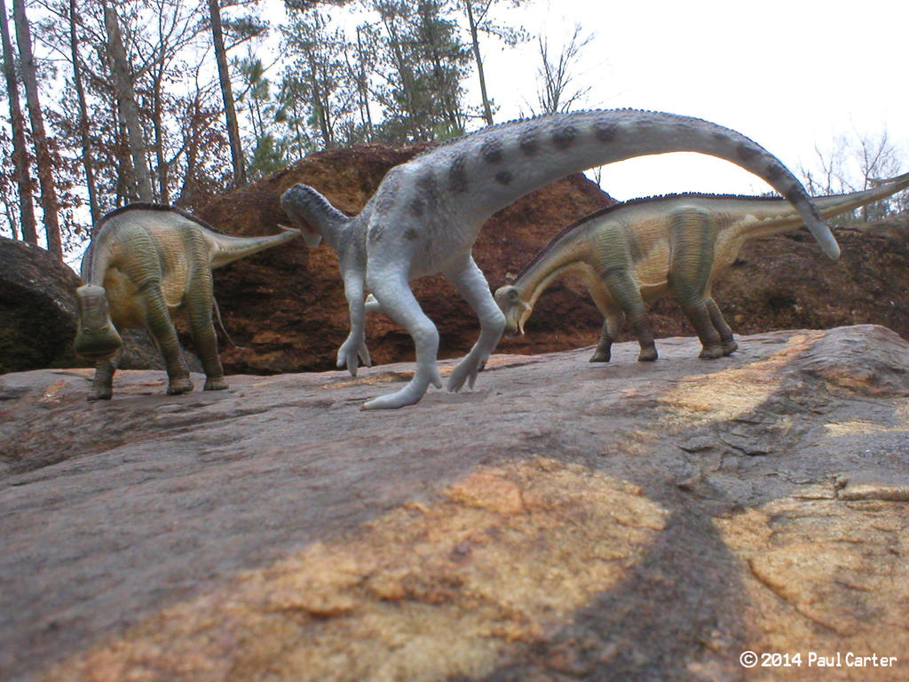 Nigersaurus Predators Deltadromeus VS Nigersaurus. by Carnosaur on DeviantArt