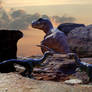 T-Rex and Troodon