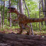 Jurassic Park Velociraptor