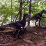 Deinonychus on the prowl.