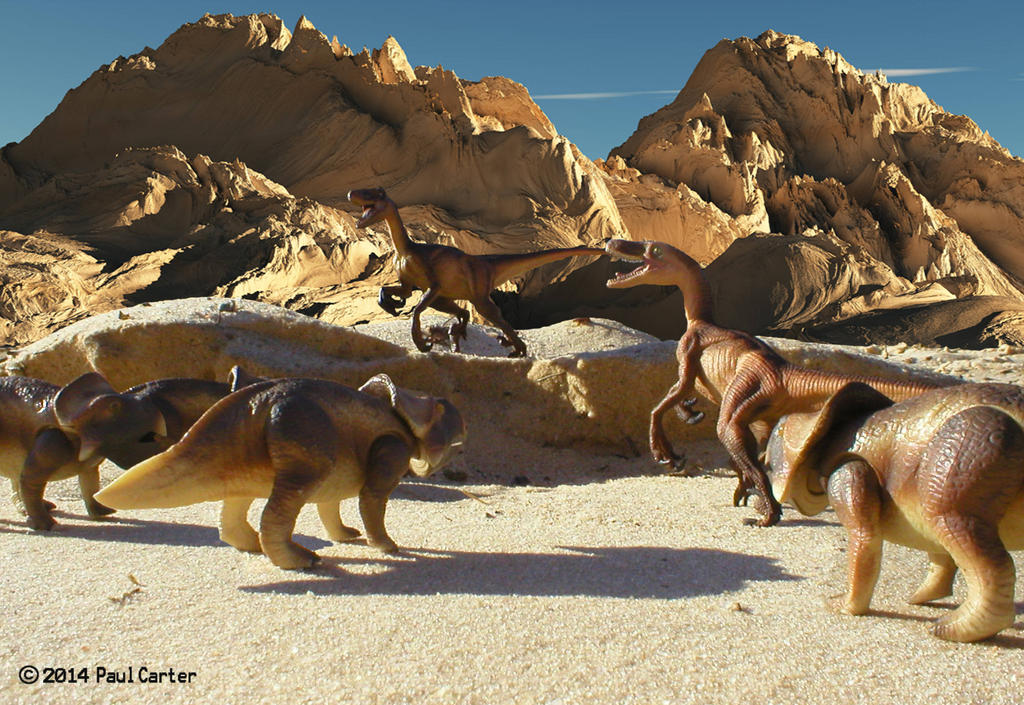 Velociraptor VS Protoceratops by Carnosaur on DeviantArt
