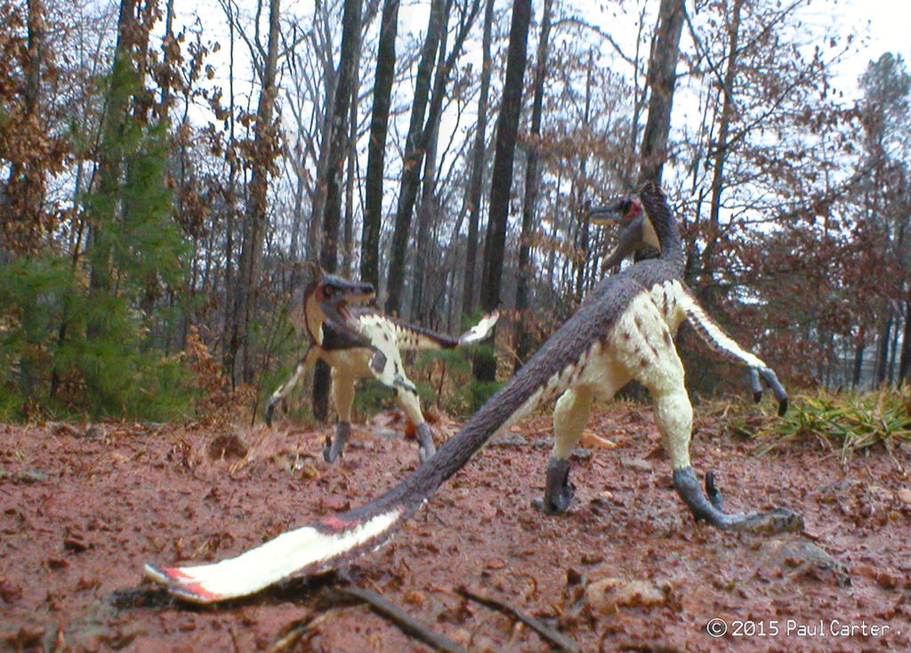 Dog Vs Raptor Raptor fight by Carnosaur on DeviantArt