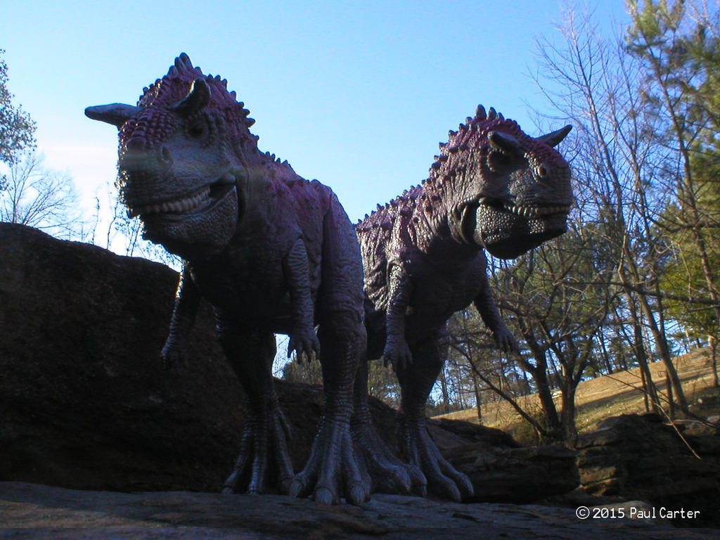 Carnotaurus by Carnosaur on DeviantArt
