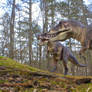 Hunting Tyrannosaurs