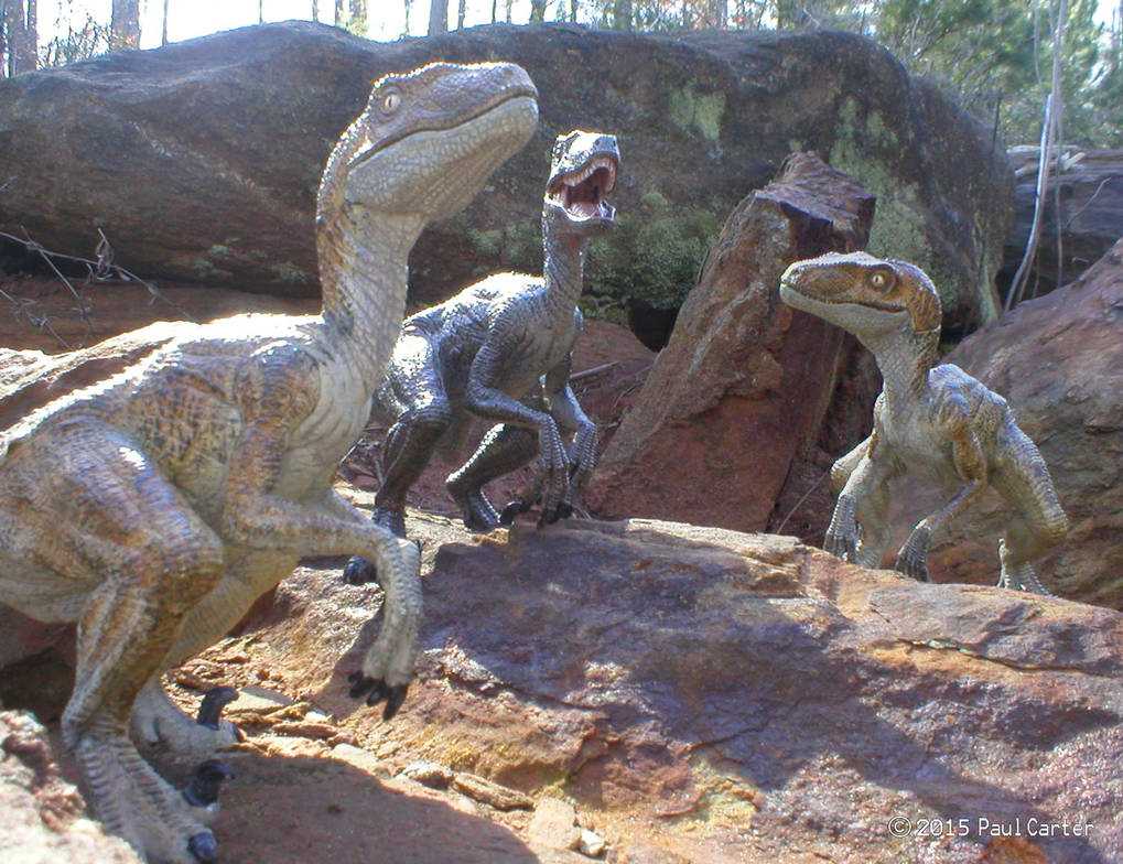 Raptors! by Carnosaur on DeviantArt