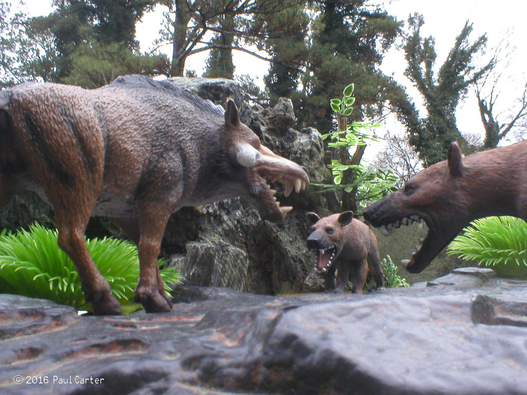 Daeodon Vs Hyaenodon Gigas. by Carnosaur on DeviantArt 