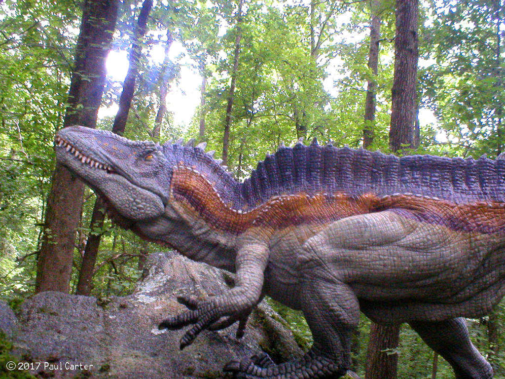 Acrocanthosaurus by Carnosaur on DeviantArt