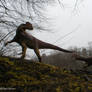 Guanlong.