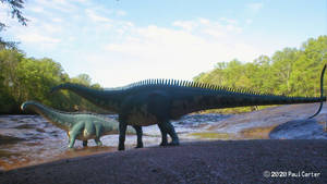 Diplodocus