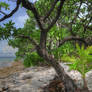 Suwarrow Atoll National Park