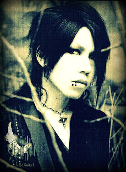 Aoi GazettE