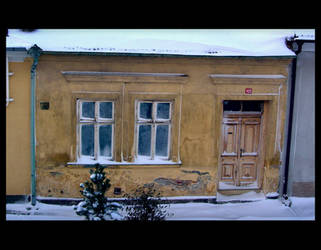 Winter House