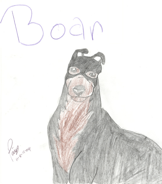 Boar