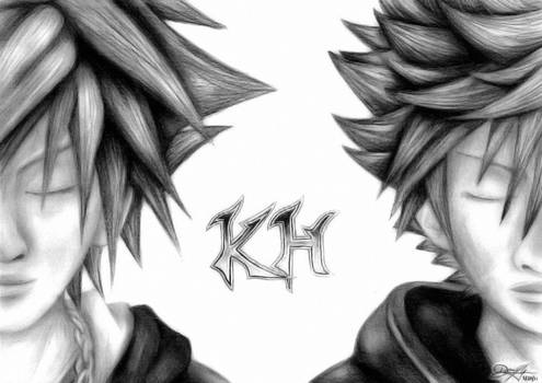 Sora and Roxas V2