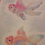 goldenfish watercolor 