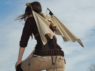 Steampunk Wings 1