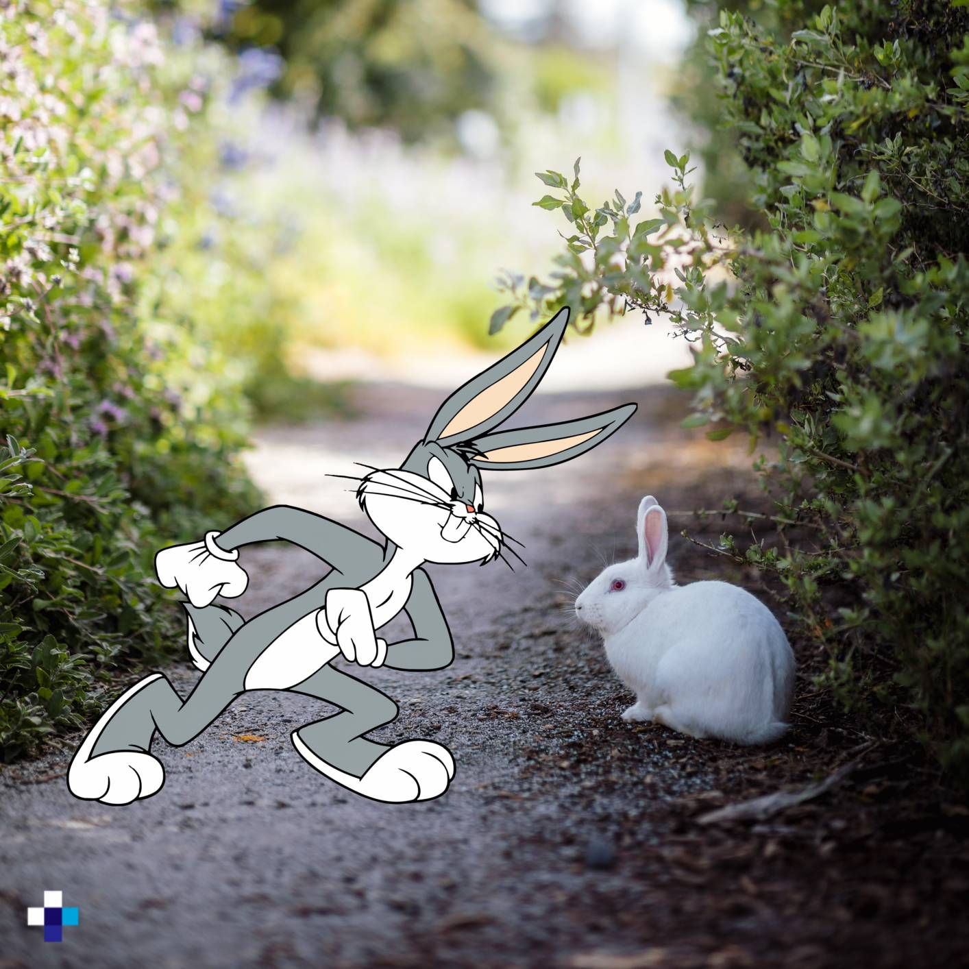Bugs Bunny vs rabbit by Problic on DeviantArt