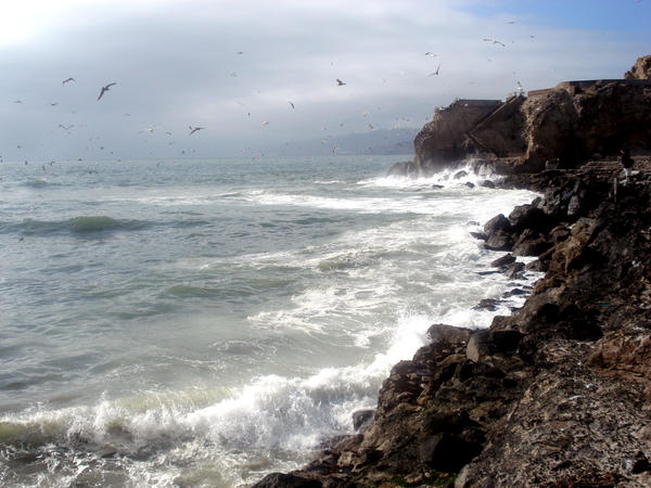 Ocean Beach1 by LadyDragonStock