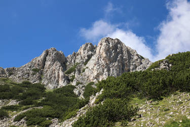 Pirin National Park