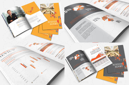InDesign Annual Report / Brochure Template