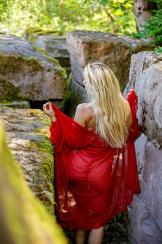 Clad In Red