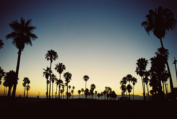 venice beach