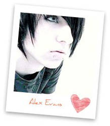 Alex Evans