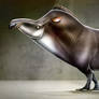 Tapir