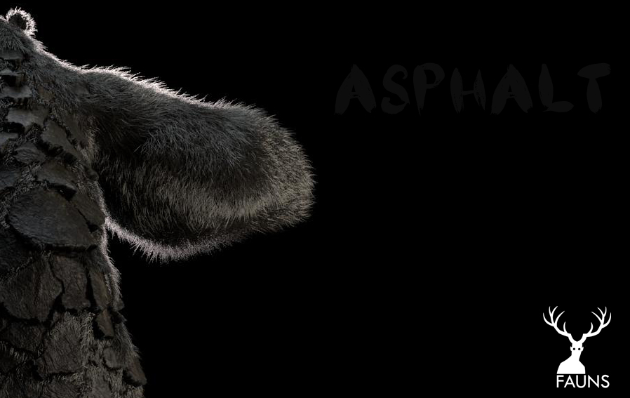 Asphalt Teaser