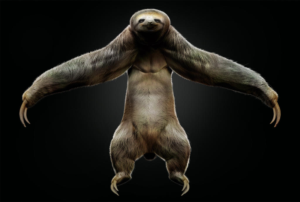 Sloth by JBVendamme on DeviantArt