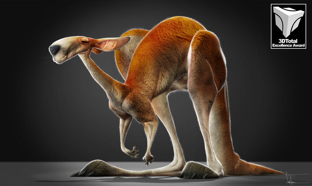 Kangaroo by JBVendamme
