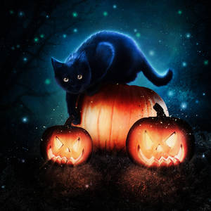 Haunted Cat by CaptainSquirel Haunted Cat by CaptainSquirel