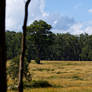 Panorama, Yarra Ranges