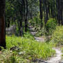 Hidden Paths