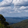 Atop Mt Donna Buang Lookout