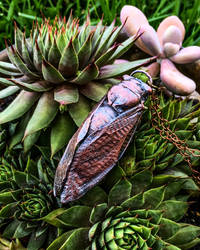 Copper Electroformed Real Cicada Pendant