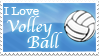 I Love Volleyball Stamp by MadMeeperPhotos