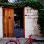 The Red Bicycle