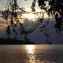 Goodbye, Sun