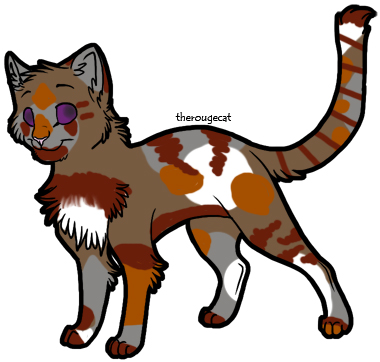 Cat Adoptable OPEN