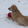 Hemi boy in the snow