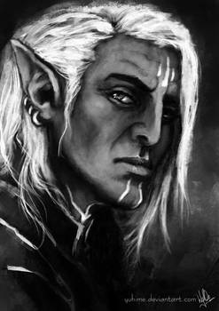 Elves of the Dragon Age - Fenris