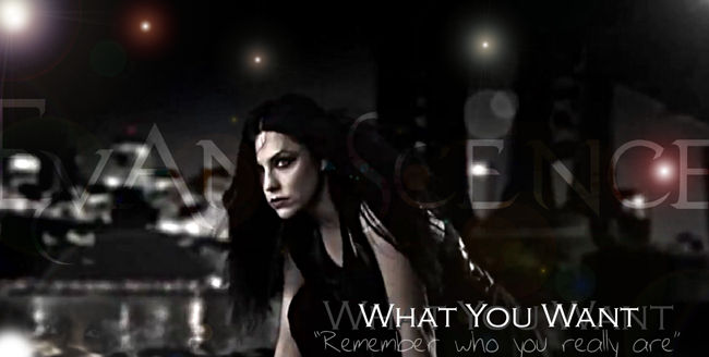 Evanescence What You Want