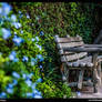 San Antonio Riverwalk relaxing Bench