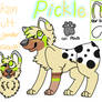 .:Pickle Reference:.